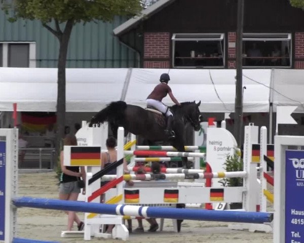 Reitturnier Senden 2014