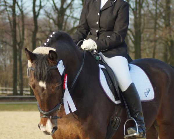 dressage horse Landfried (unknown, 2002)