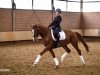 dressage horse Franz von Kastner (Westphalian, 2012, from Franziskus FRH)