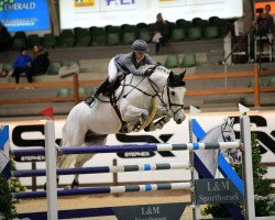 stallion Cronus VA (Zangersheide riding horse, 2007, from Carthago)