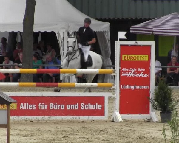 Reitturnier Senden 2014