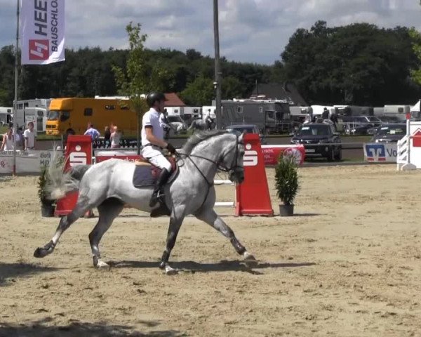 Reitturnier Senden 2014