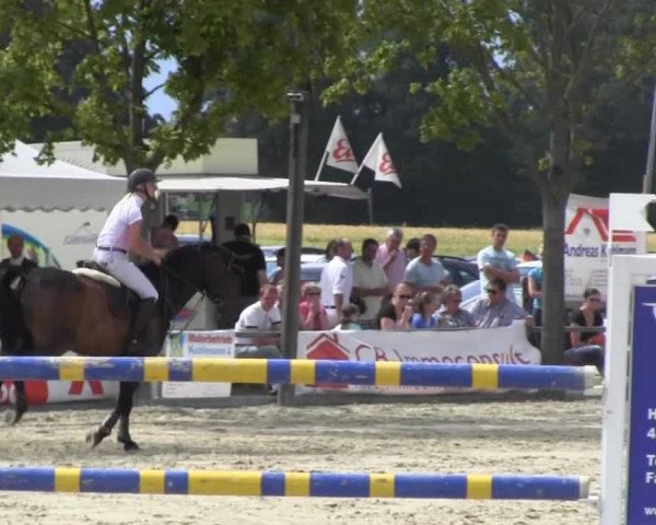 Reitturnier Senden 2014