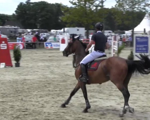 Reitturnier Senden 2014