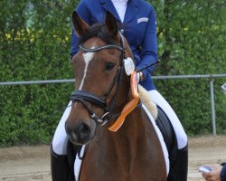 dressage horse Locomotion (Hessian Warmblood, 2000, from Landfriese II)