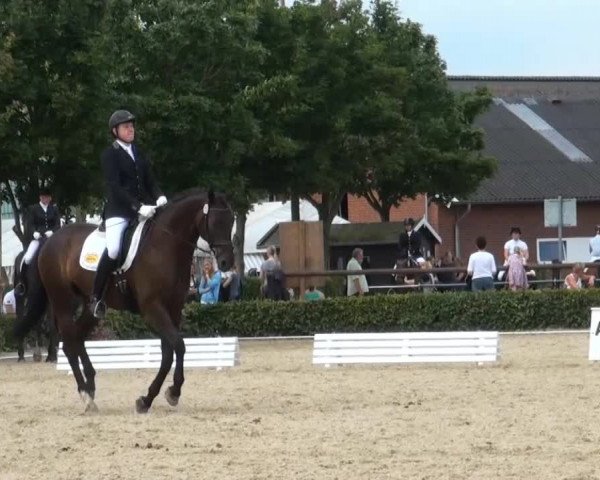 Reitturnier Senden 2014