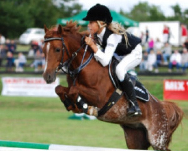 broodmare Moorkieker Heysel (Welsh-Pony (Section B), 1995, from Downland Goldflake)