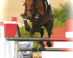 jumper Sir Rupert 3 (Holsteiner, 2000, from Ramirado)