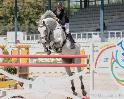 stallion Celantus 188 FIN (Oldenburg show jumper, 2013, from Cellestial)