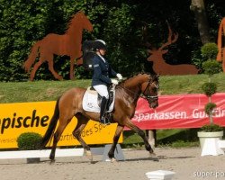 stallion Desert Diamond (German Riding Pony, 2015, from FS Don't Worry)