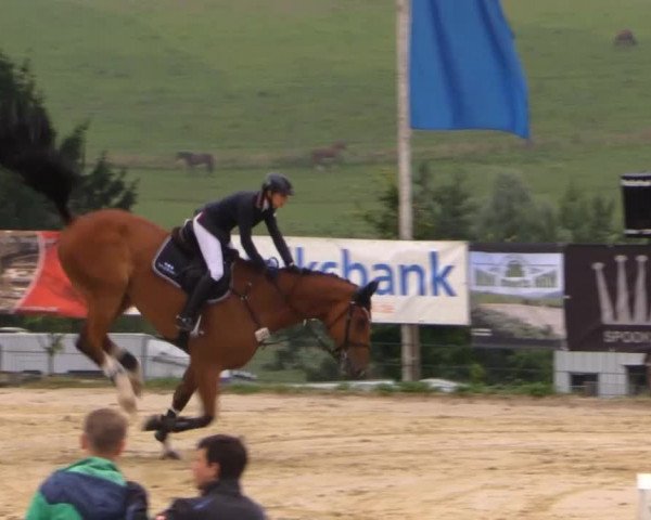 Sommerreitturnier der Süttenbacher RSG e.V. 2014