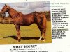 stallion Most Secret xx (Thoroughbred, 1968, from Crocket xx)