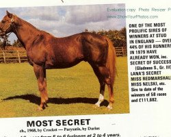 stallion Most Secret xx (Thoroughbred, 1968, from Crocket xx)