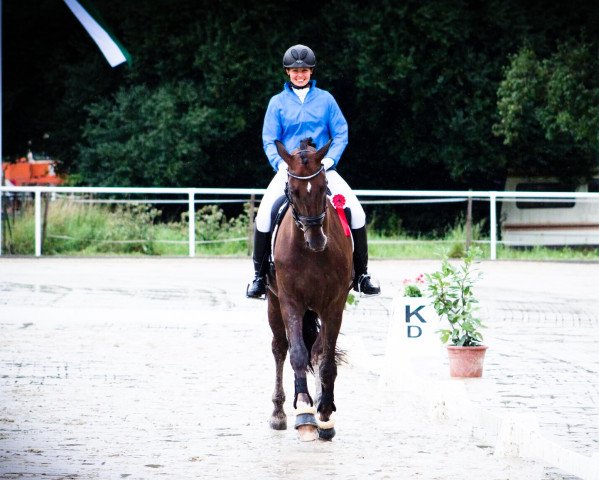 dressage horse Swarovskis Sohnemann (Westphalian, 2009, from Swarovski)