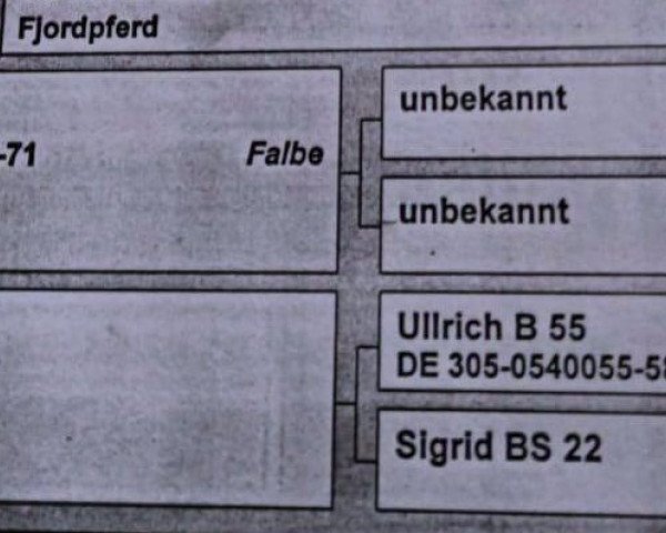 Zuchtstute Sabine B 207 S (Fjordpferd, 1976, von Sagan B 60)