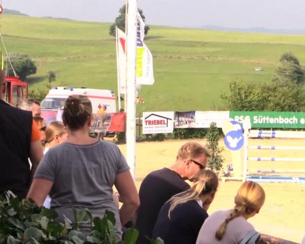 Sommerreitturnier der Süttenbacher RSG e.V. 2014