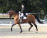 Dressurpferd Goldoni Go (Trakehner, 2004, von Bel Espace Go)