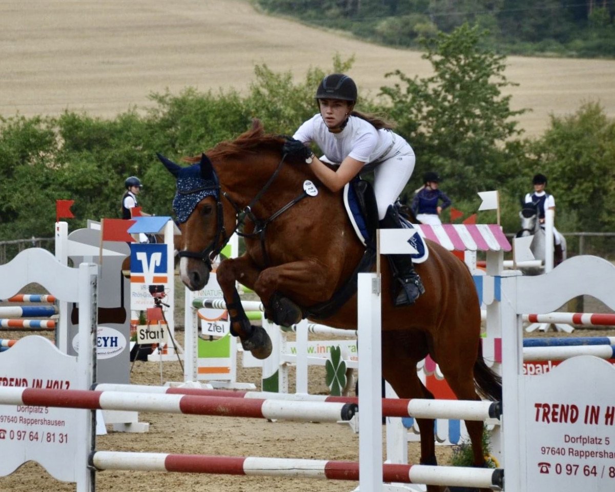 Springpferd Carla Columna (Westfale, 2008, von Chacco-Blue)