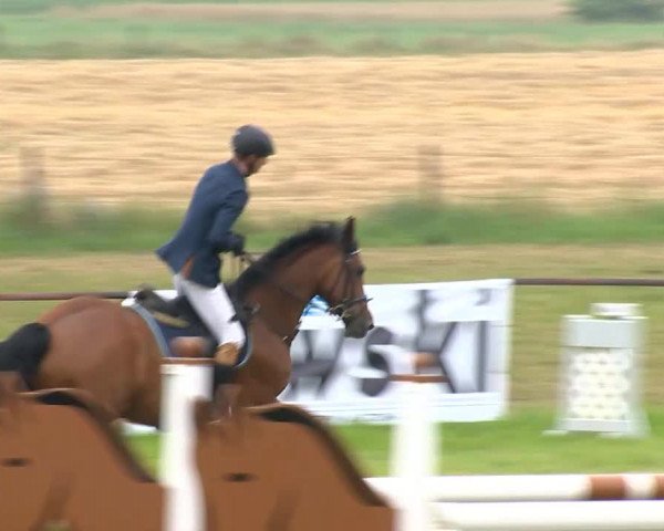 Ahlhorner Reitertage 2014