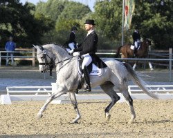 dressage horse Royal Flyer (Oldenburg, 2004, from Royal Diamond)