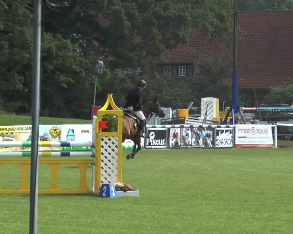 FEI Reitturnier Steinhagen (GER) 2014