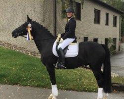 dressage horse Dresscode (Rheinländer, 2015, from De Niro)