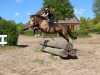 dressage horse Avantgarde 44 (German Riding Pony, 2003, from Monte Christo)