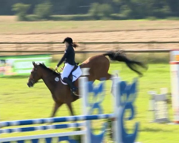 Ahlhorner Reitertage 2014