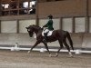 dressage horse Hardenberg (Hanoverian, 2006, from Hochadel)