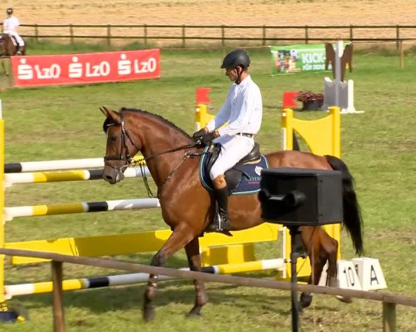 Ahlhorner Reitertage 2014