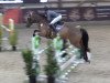 jumper Sancentona PS (Oldenburg show jumper, 2015, from Sandokan 290)