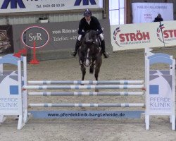 jumper Caillan (Holsteiner, 2015, from Casall)