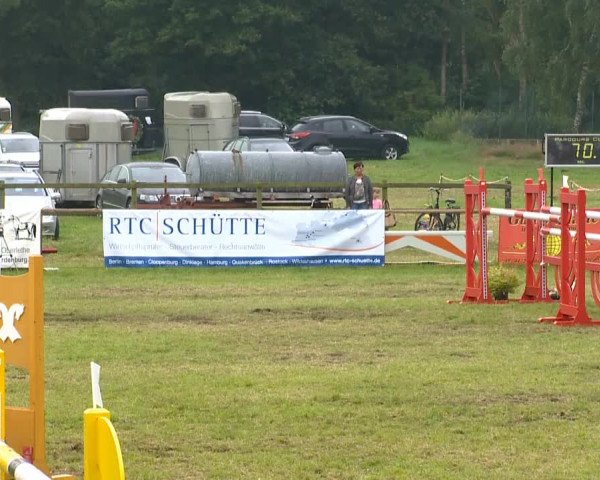 Ahlhorner Reitertage 2014