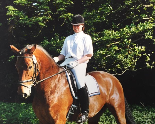 dressage horse Rascal 58 (Westphalian, 1994, from Rosenkavalier)