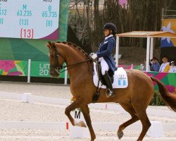 dressage horse Etanga (KWPN (Royal Dutch Sporthorse), 2009, from Wynton)