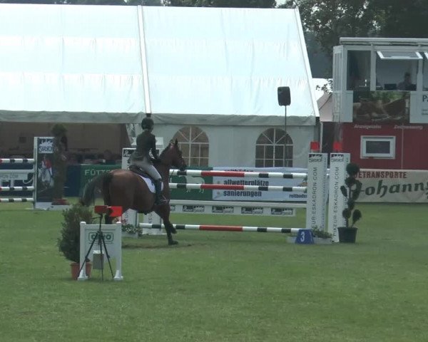 FEI Reitturnier Steinhagen (GER) 2014