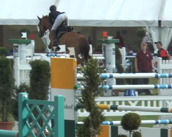 FEI Reitturnier Steinhagen (GER) 2014