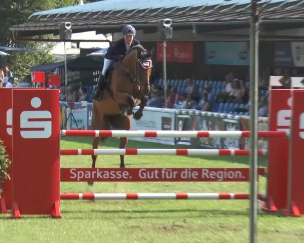 FEI Reitturnier Steinhagen (GER) 2014