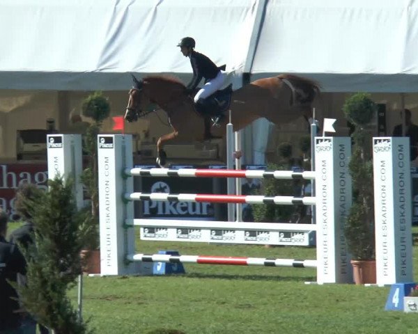 FEI Reitturnier Steinhagen (GER) 2014