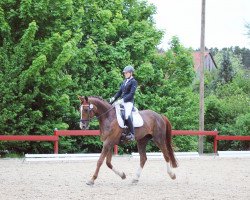 dressage horse Ricci Royal (Westphalian, 2009, from Riccio)