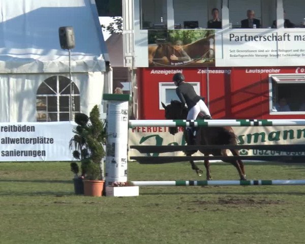 FEI Reitturnier Steinhagen (GER) 2014