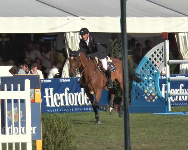 FEI Reitturnier Steinhagen (GER) 2014
