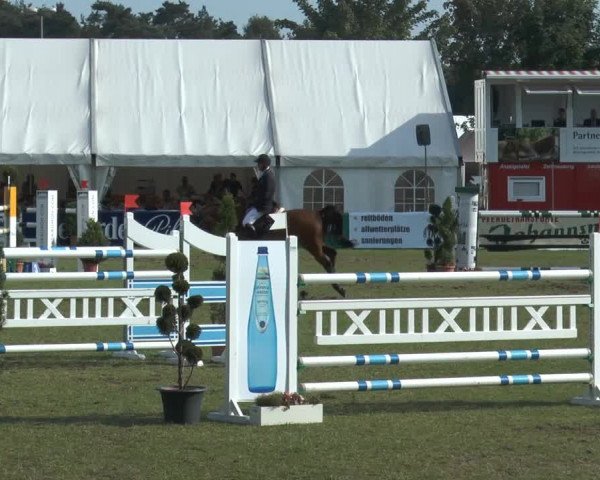 FEI Reitturnier Steinhagen (GER) 2014