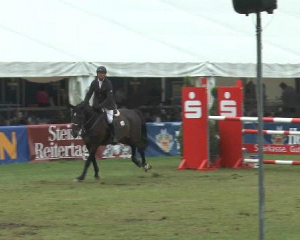 FEI Reitturnier Steinhagen (GER) 2014