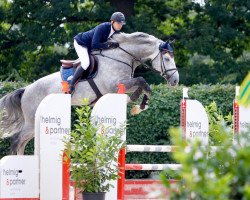 stallion Hells Bells Blue Rrh (KWPN (Royal Dutch Sporthorse), 2012, from Zirocco Blue)