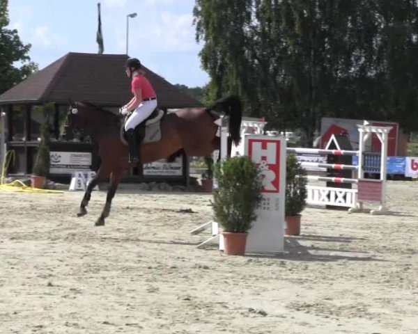 Reit- und Springturnier Münster-Roxel 2014