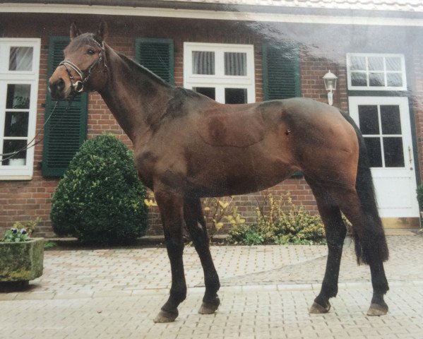 horse Fabiana B (Westphalian, 1993, from Florestan I)