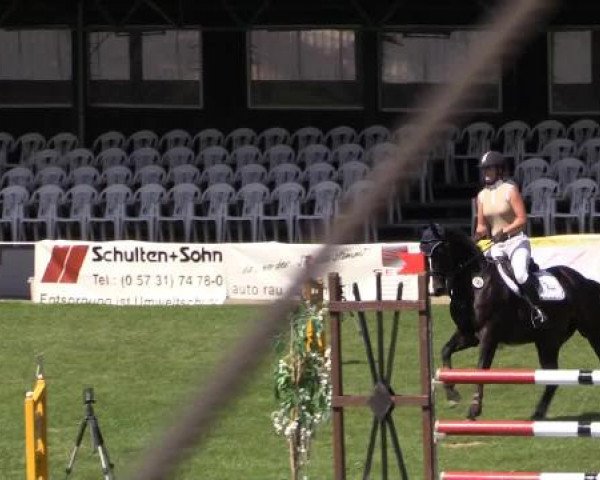 Dressur- und Springturnier Vlotho-Exter 2014