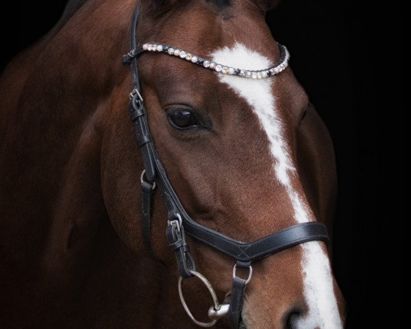 dressage horse Samba Salomée (KWPN (Royal Dutch Sporthorse), 2012, from Donnerhall)