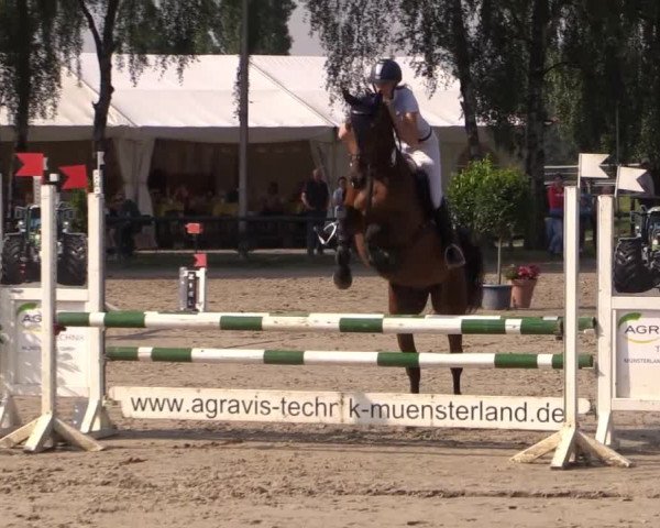 Großes Reit- und Springturnier Herbern 2014